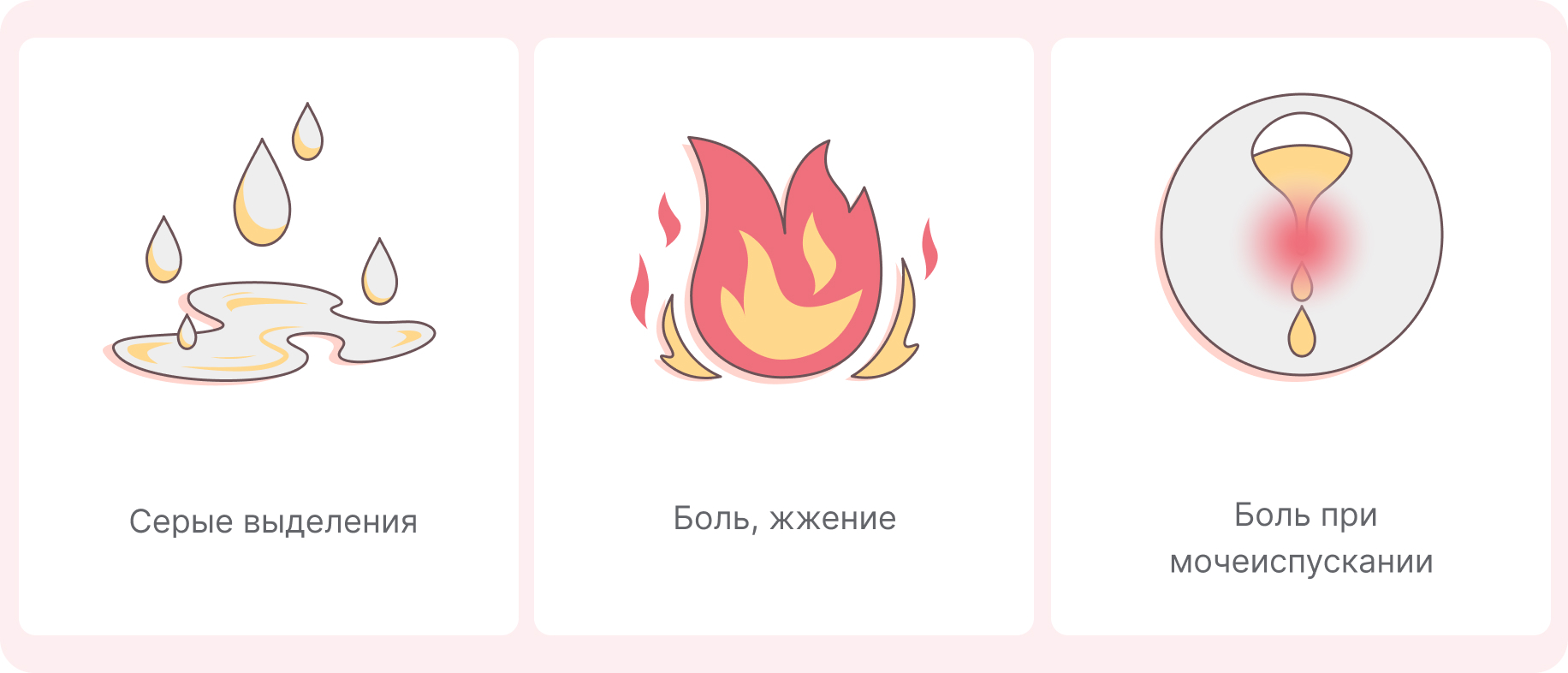 Женская микрофлора: как всё устроено