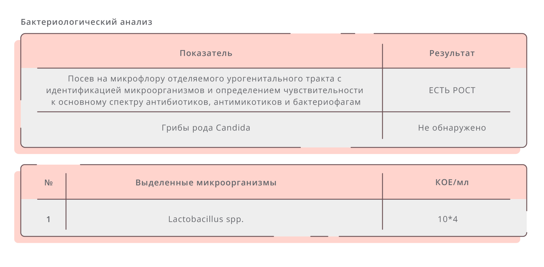 Бактериальный вагиноз схема лечения препараты